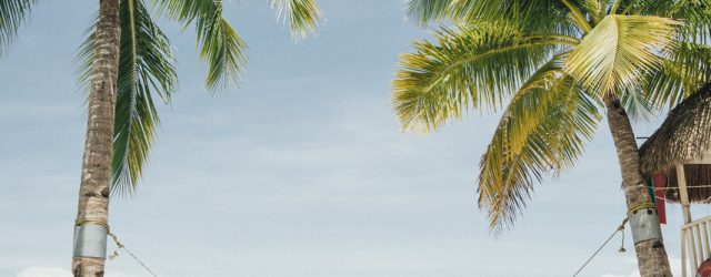 Hair Care Summer 2018