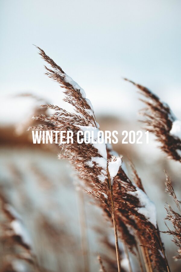 3 Winter Colors 2021