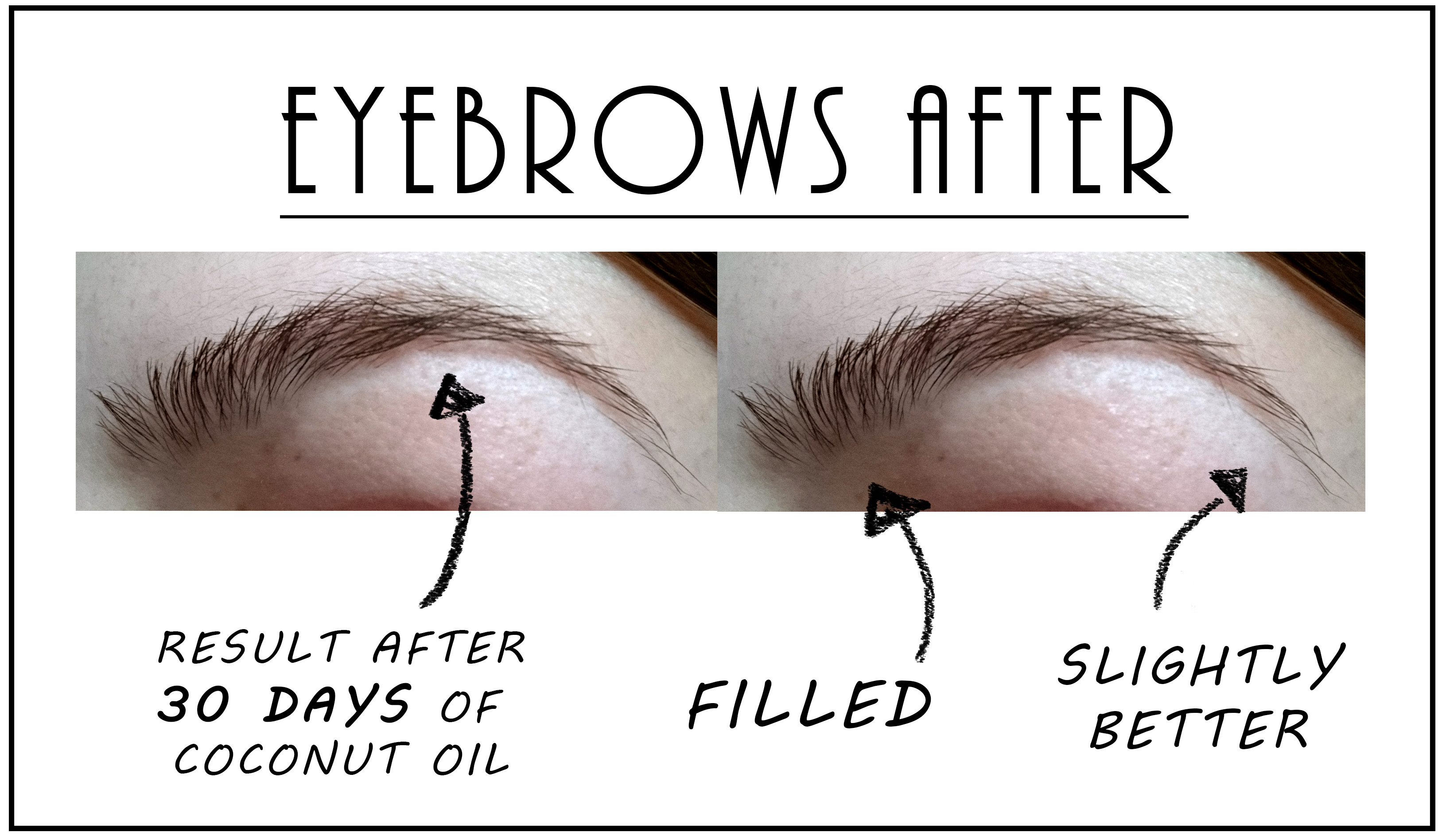 Coconut Oil For Eyebrows | The Fashion Folks