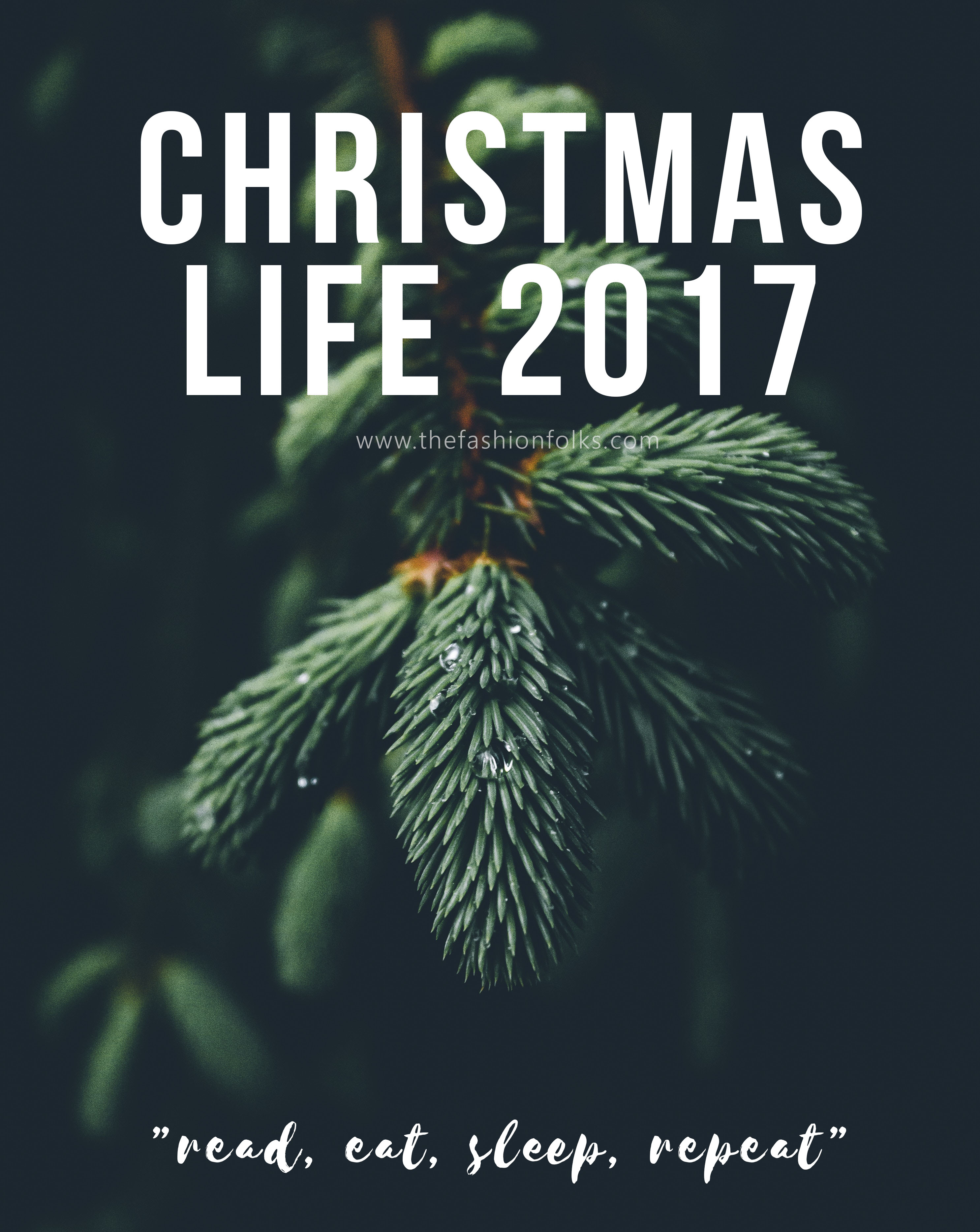 Christmas Life 2017
