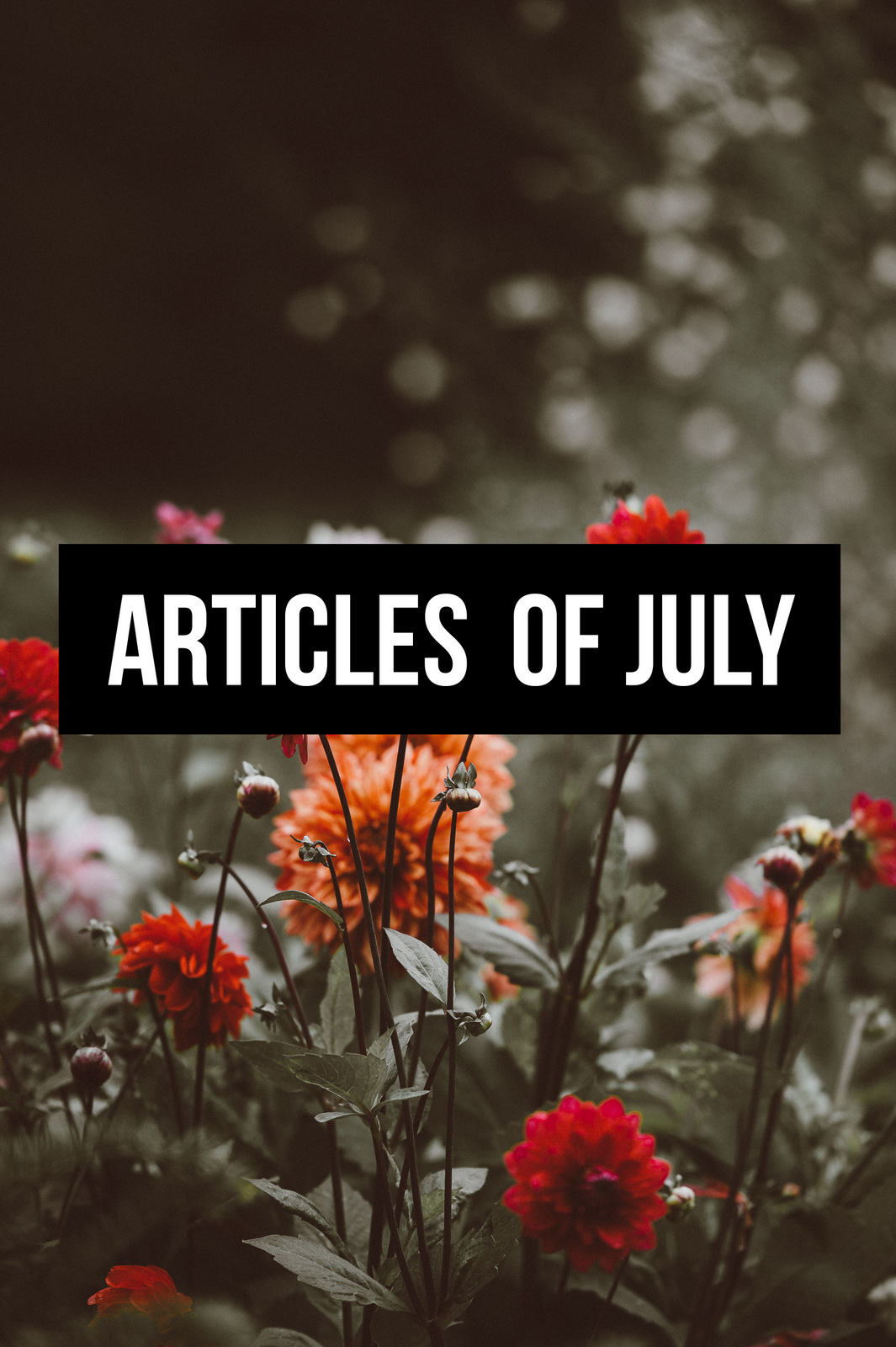Article of July 2018