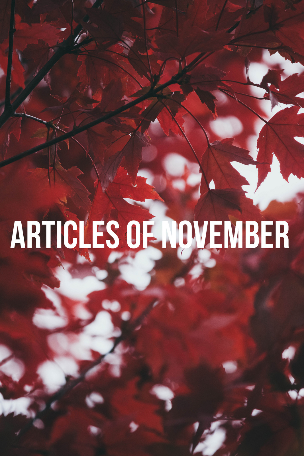 Articles of November 2018
