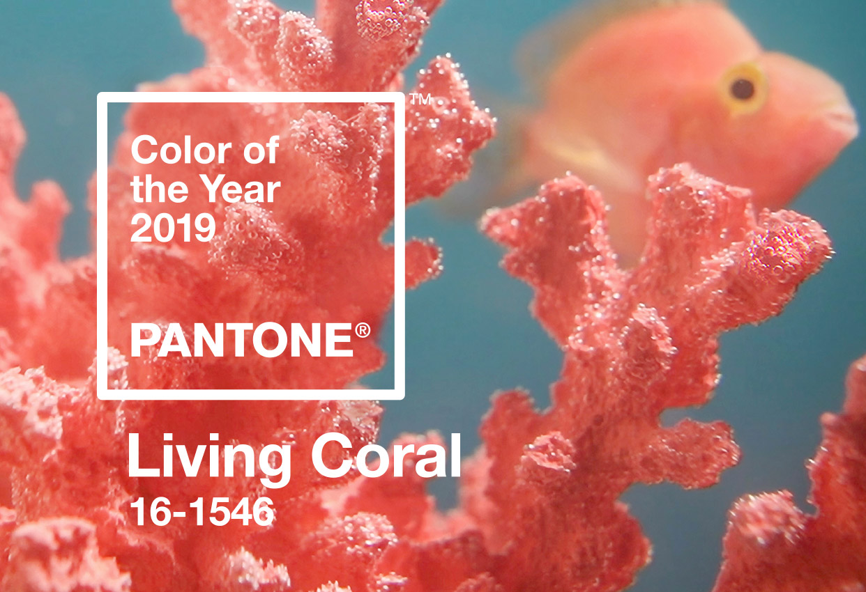 Pantone's Color of the year 2019 coral 2019