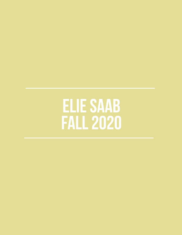 Elie Saab Fall 2020 – Review