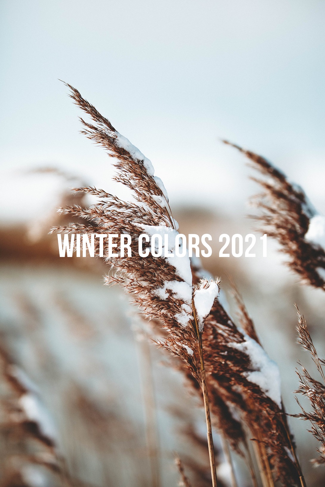 3 Winter Colors 2021 - The Fashion Folks