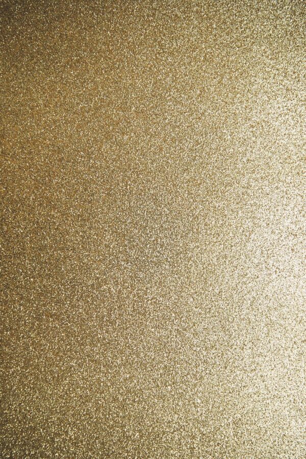 Oscars Red Carpet 2023