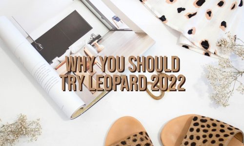 Why-You-Should-Try-Leopard-2022